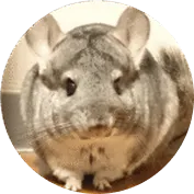 安達 伶音奈 プロフィール写真